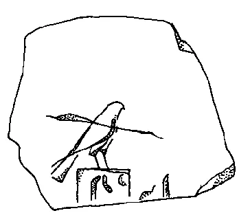 Depiction: “Bird”